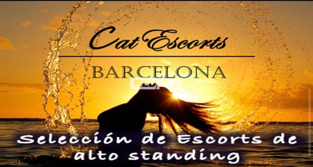 Plaza libre Barcelona. Te gustar&iacute;a