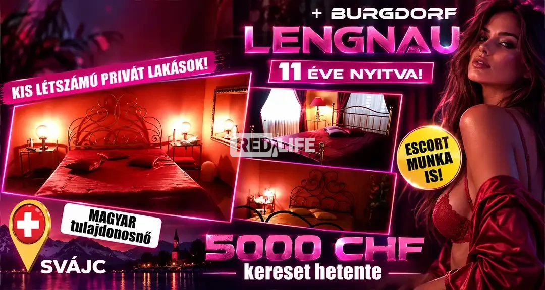 Sv&aacute;jci priv&aacute;t lak&aacute;sok Bern kantonban