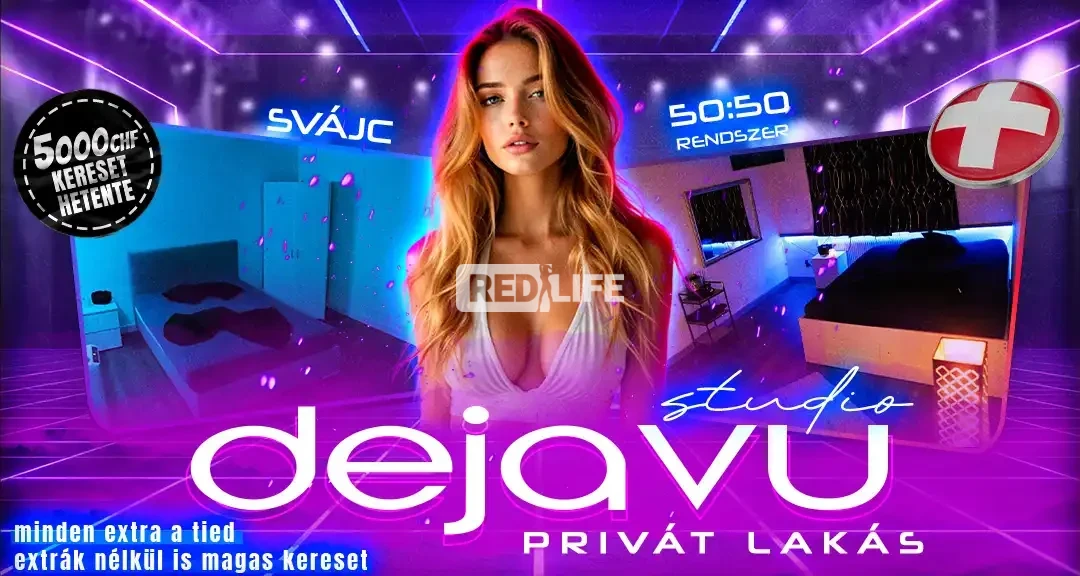 Studio D&Eacute;J&Agrave; VU - profi