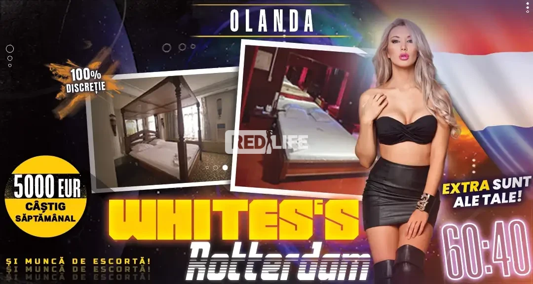 Muncă erotică &icirc;n Olanda, &icirc;n