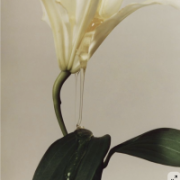NEROLI