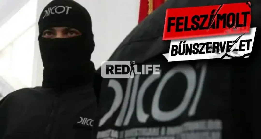 Férjek közvetítésével kényszerítettek nőket erotikus