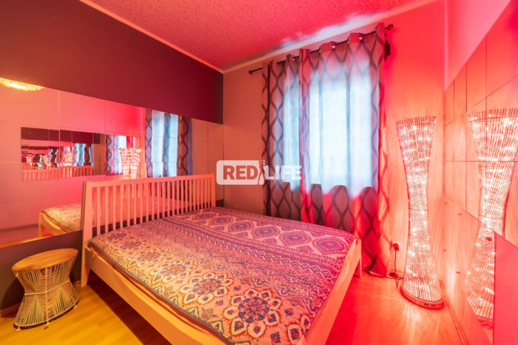 német munka női tulajdonos profi