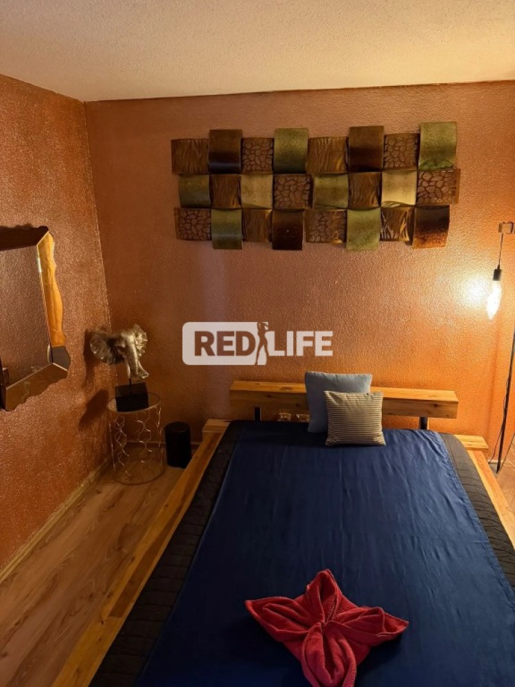 escort munka magyar recepciós napi