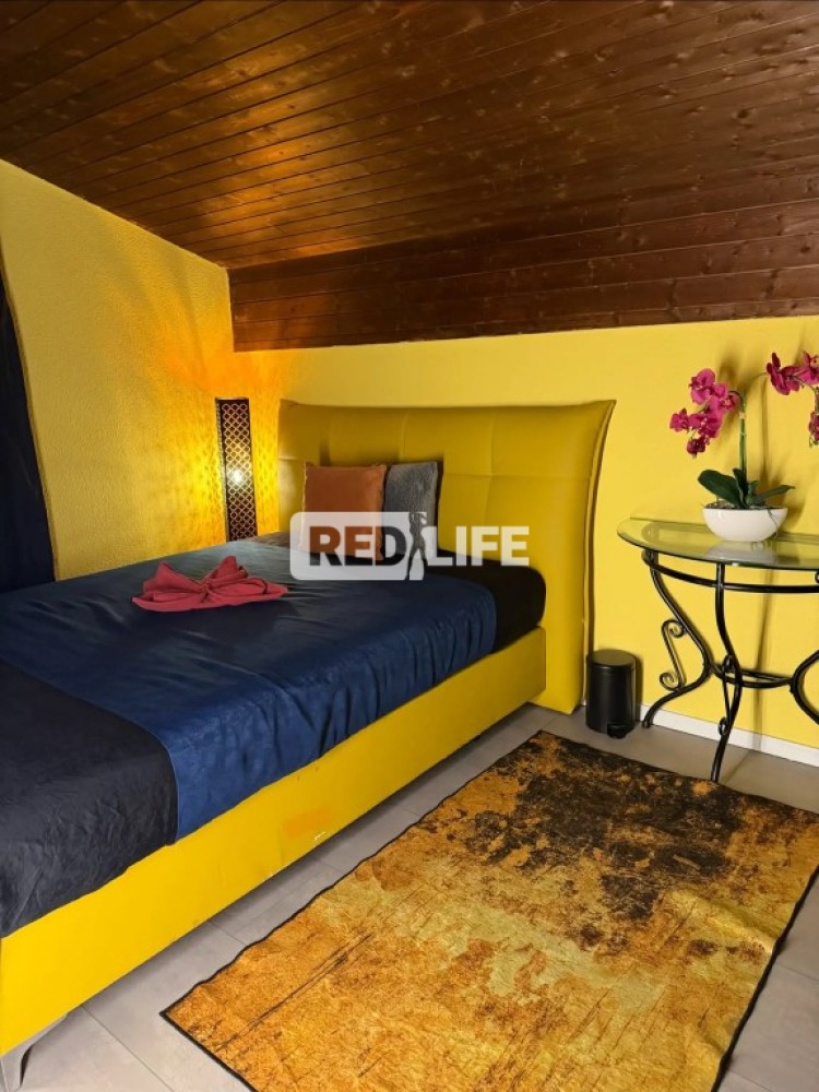 escort munka magyar recepciós napi