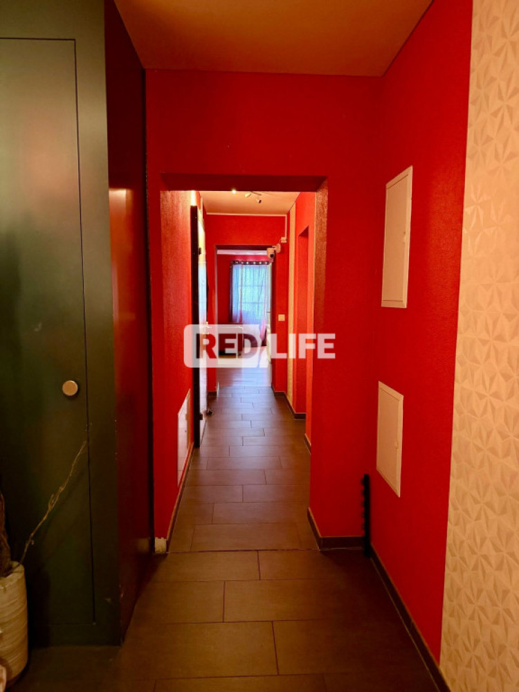 erotikus stúdió Studio FANTASTIC százalékos